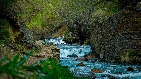 آب و هوای روستای برغان